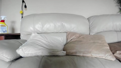 bigdicktrannynicole  06-08-2022